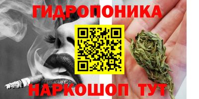 крисы Ирбит