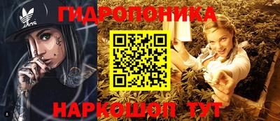 крисы Ирбит