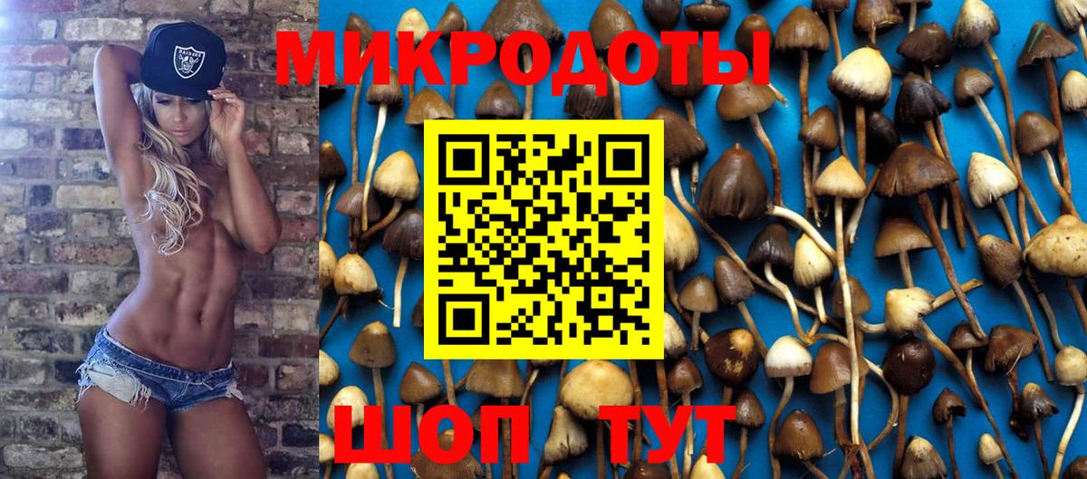 Галлюциногенные грибы MAGIC MUSHROOMS  Псилоцибиновые грибы мухоморы  Вход с VPN  Волжский 